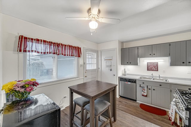 kitchen with appliances with stainless steel finishes, gray cabinets, sink, and hardwood / wood-style floors