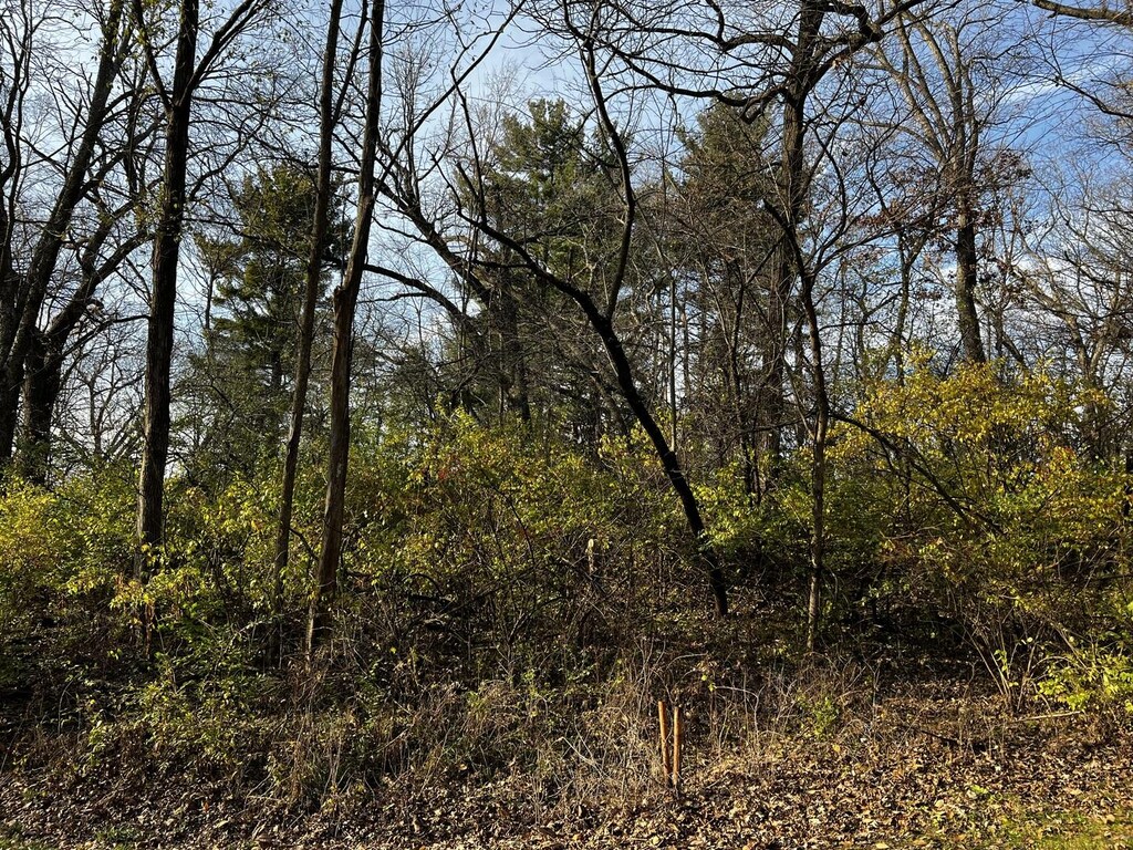 107 Maple Ln, Dixon, IL 61021 - photo 2