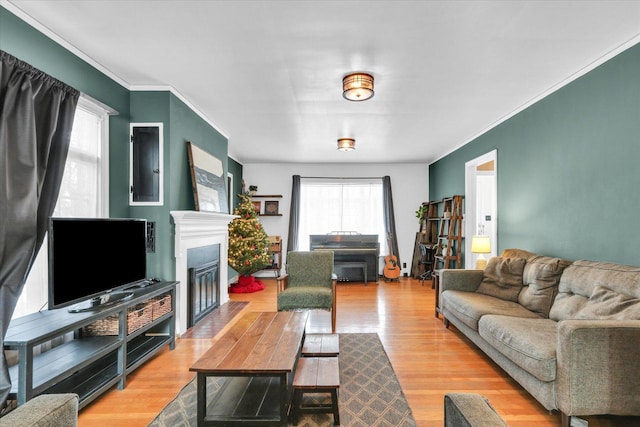 living room with crown molding and light wood-type flooring