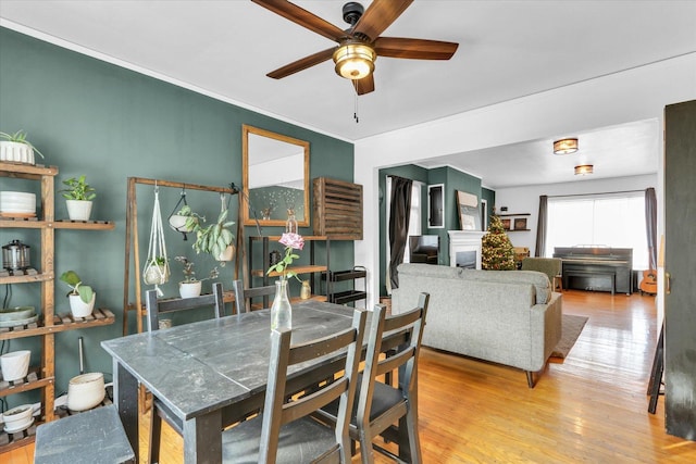 dining area featuring light wood-type flooring and ceiling fan