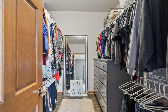 walk in closet with hardwood / wood-style flooring