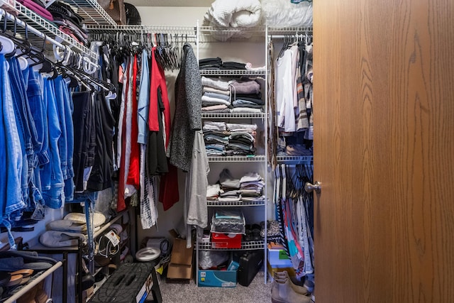 walk in closet with carpet flooring