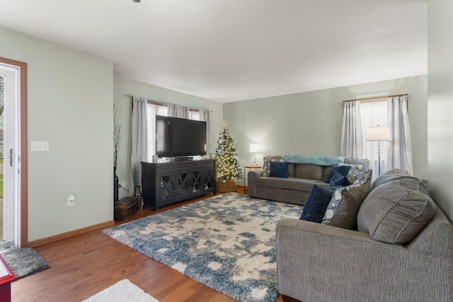 living room featuring hardwood / wood-style flooring