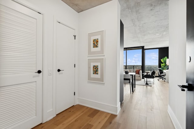 corridor featuring light hardwood / wood-style floors and expansive windows