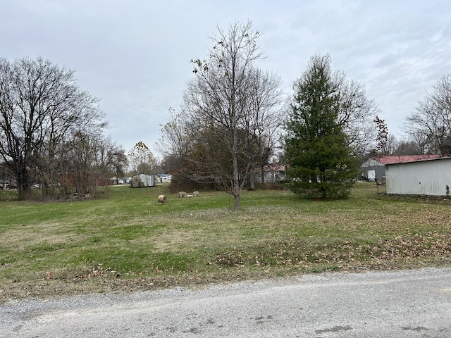 313 E 7th St, Brookport, IL 60534 - view of yard