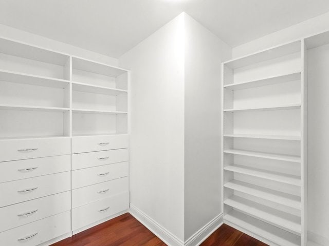 spacious closet with dark hardwood / wood-style floors