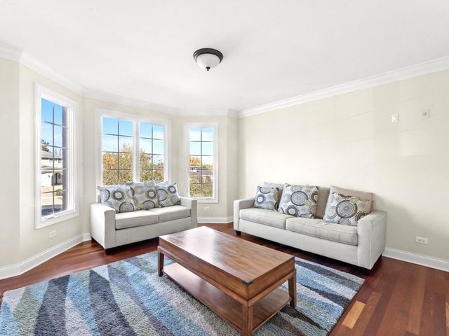 living room with dark hardwood / wood-style flooring and crown molding