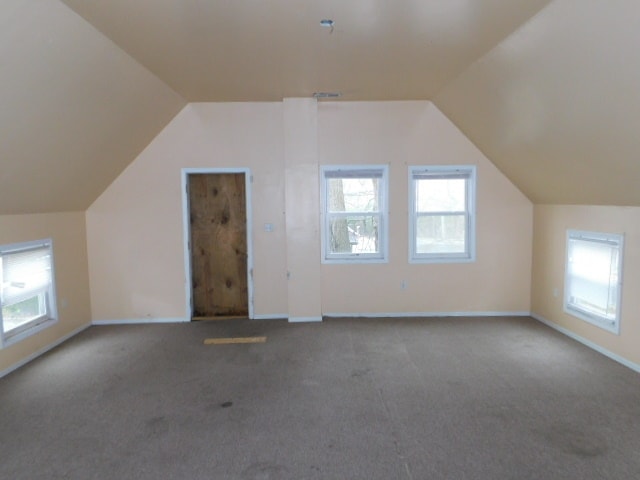 bonus room featuring carpet and lofted ceiling