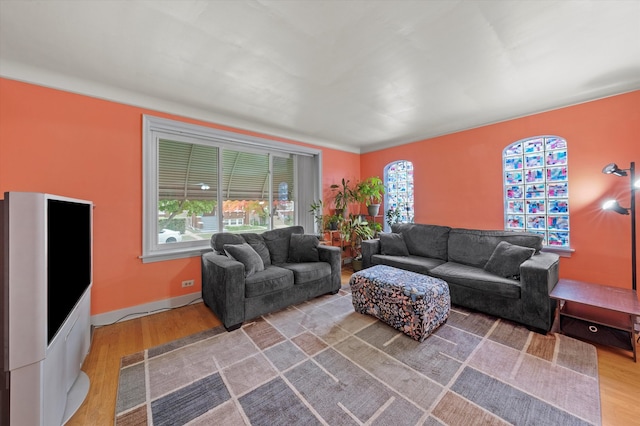 living room featuring hardwood / wood-style flooring