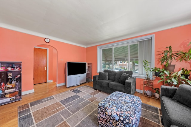 living room with hardwood / wood-style flooring