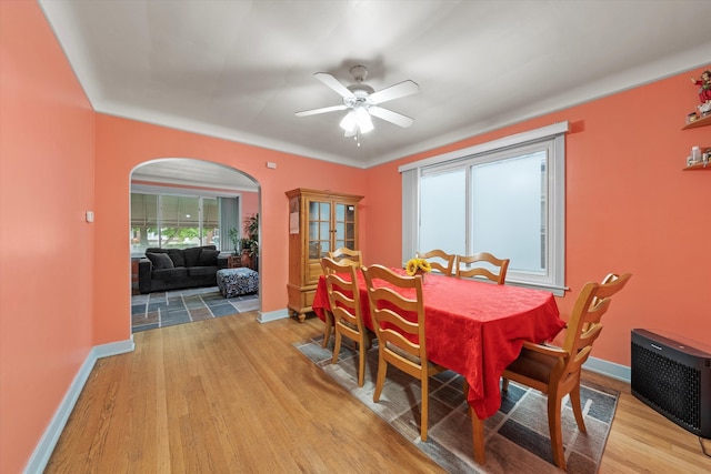 dining space with radiator heating unit, light hardwood / wood-style flooring, and ceiling fan