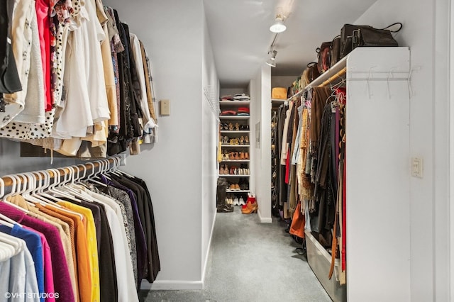 walk in closet featuring carpet