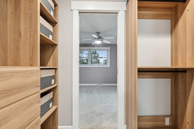 spacious closet with ceiling fan and carpet flooring