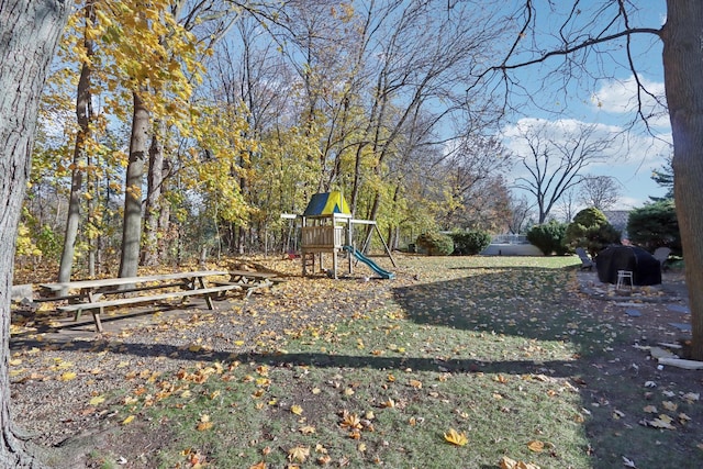 view of jungle gym