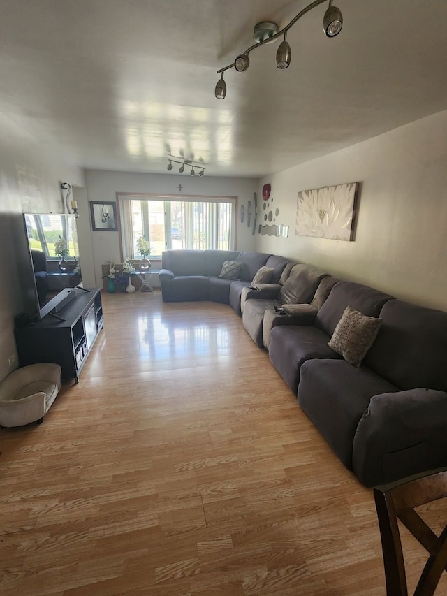 living room featuring hardwood / wood-style floors and rail lighting