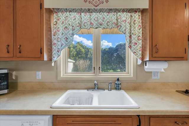 kitchen featuring dishwashing machine and sink