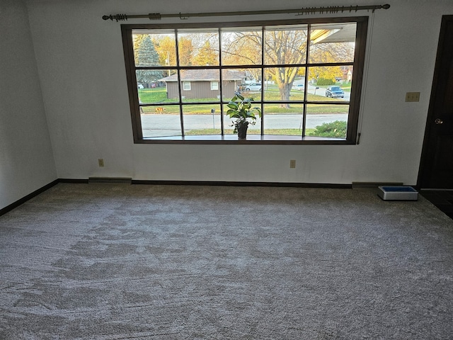 empty room featuring carpet floors