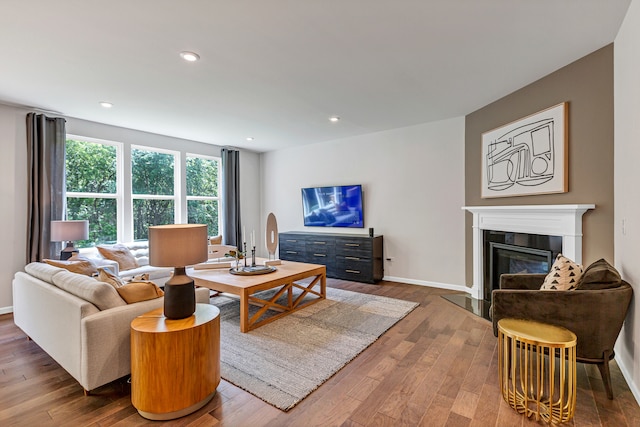 living room featuring wood-type flooring