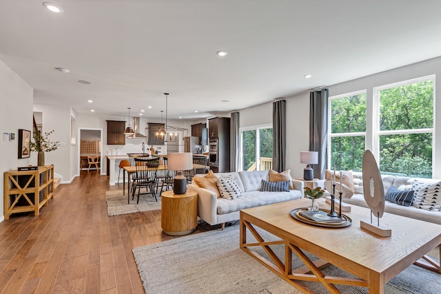 living room with a wealth of natural light and light hardwood / wood-style flooring