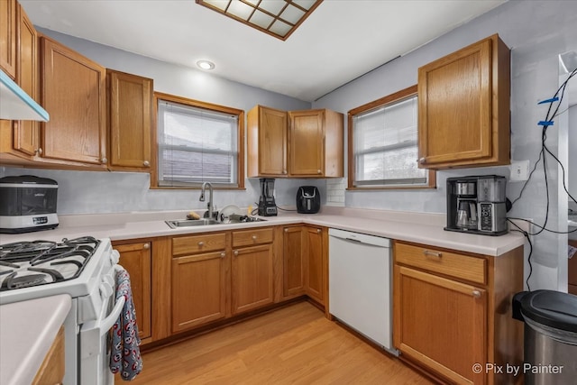 kitchen featuring a wealth of natural light, sink, light hardwood / wood-style floors, and white appliances