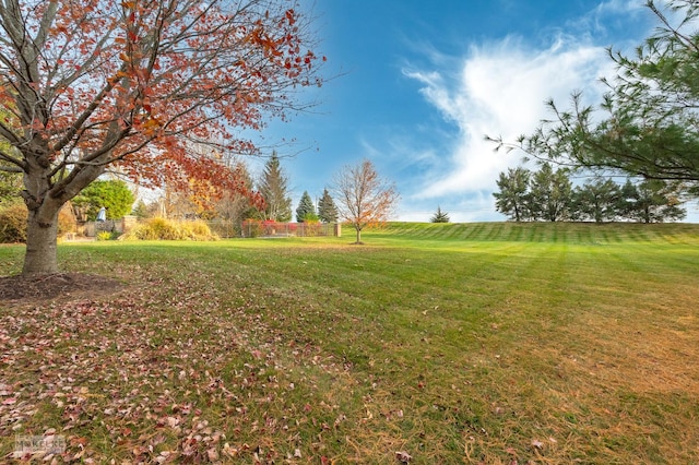 view of yard with a rural view