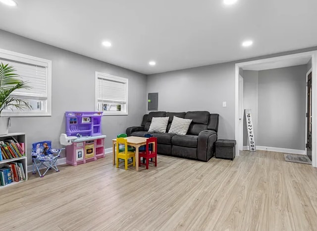 living room with light wood-type flooring and electric panel