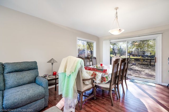 dining area featuring hardwood / wood-style floors