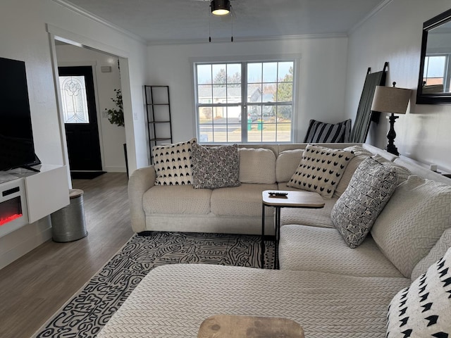 living room featuring wood-type flooring and ornamental molding