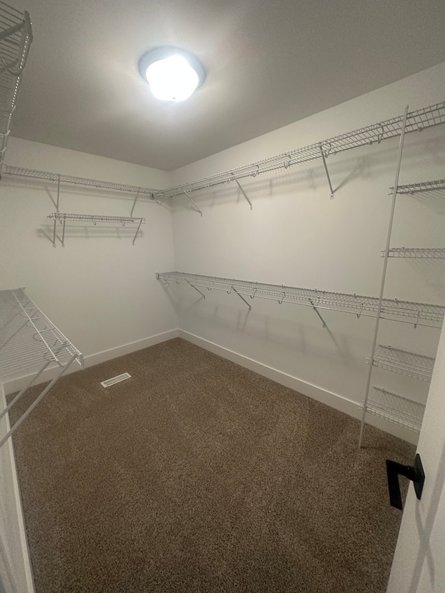 walk in closet with carpet floors