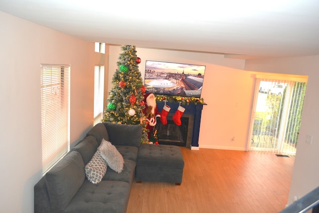 living room with hardwood / wood-style flooring and a tile fireplace