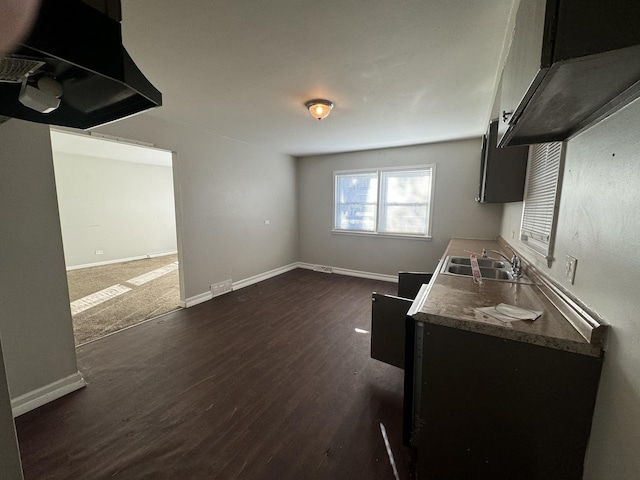 kitchen with sink and dark wood-type flooring