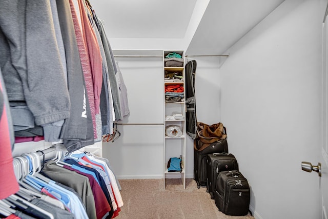 spacious closet featuring carpet