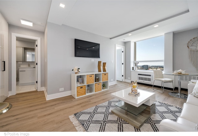 living room featuring sink and light wood-type flooring