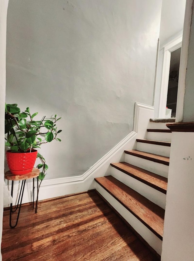 staircase featuring hardwood / wood-style floors