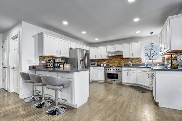 kitchen with stainless steel appliances, a peninsula, wood finished floors, and under cabinet range hood