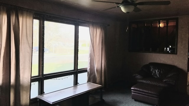 living area with carpet floors and ceiling fan