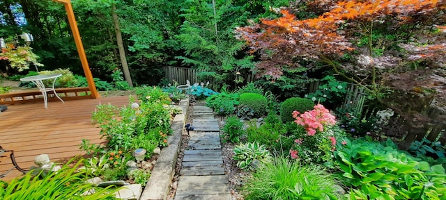 view of yard featuring a wooden deck