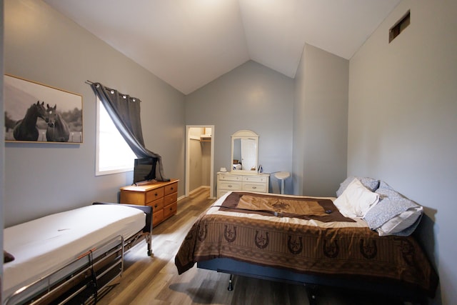 bedroom with wood-type flooring, a spacious closet, and lofted ceiling