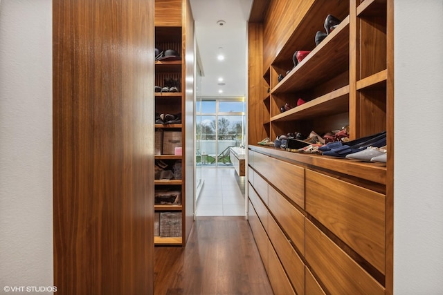 spacious closet featuring dark wood-style flooring