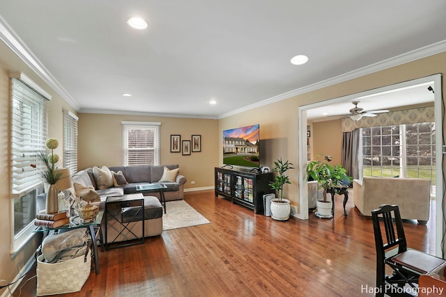 living room featuring wood-type flooring, ceiling fan, and crown molding