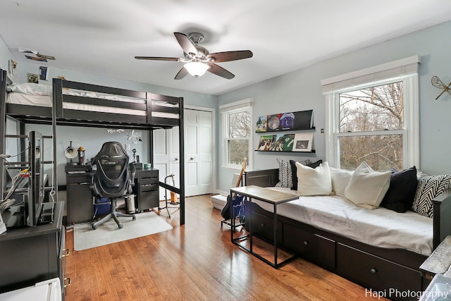 bedroom with hardwood / wood-style flooring, ceiling fan, and multiple windows