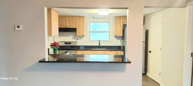 kitchen with stainless steel range, wood-type flooring, white fridge, and sink