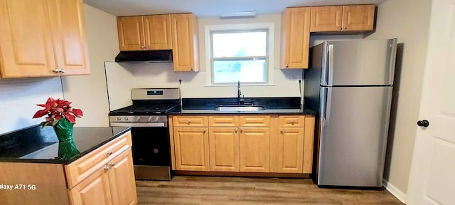 kitchen with appliances with stainless steel finishes, light brown cabinetry, sink, exhaust hood, and light hardwood / wood-style floors