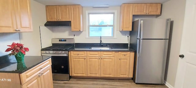 kitchen featuring appliances with stainless steel finishes, exhaust hood, sink, light brown cabinets, and light hardwood / wood-style floors