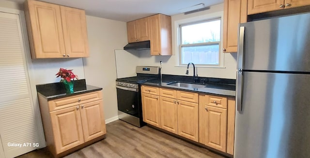 kitchen featuring hardwood / wood-style flooring, sink, light brown cabinets, and appliances with stainless steel finishes