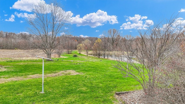 view of yard featuring a rural view