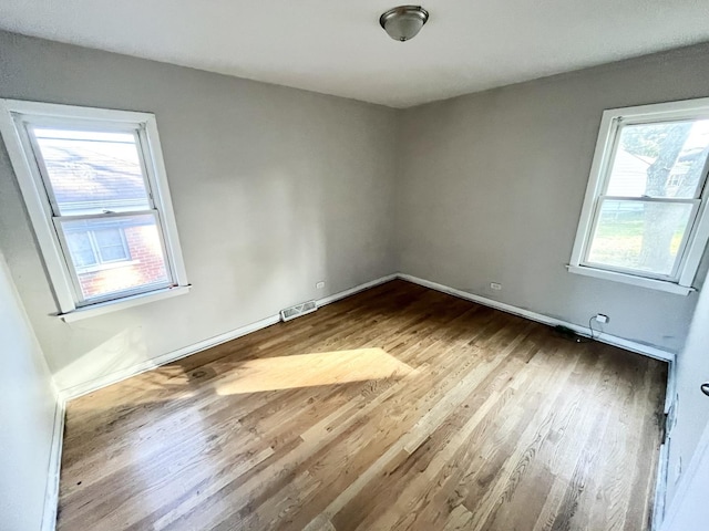 unfurnished room featuring a healthy amount of sunlight and wood-type flooring