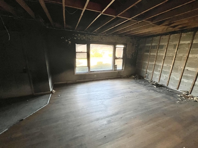 interior space with wood-type flooring