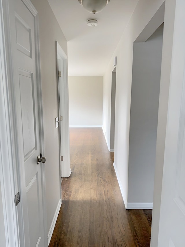 hall featuring dark hardwood / wood-style floors