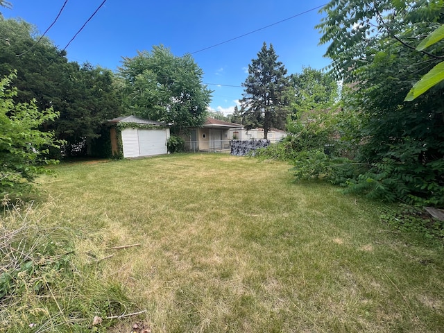 view of yard featuring a shed